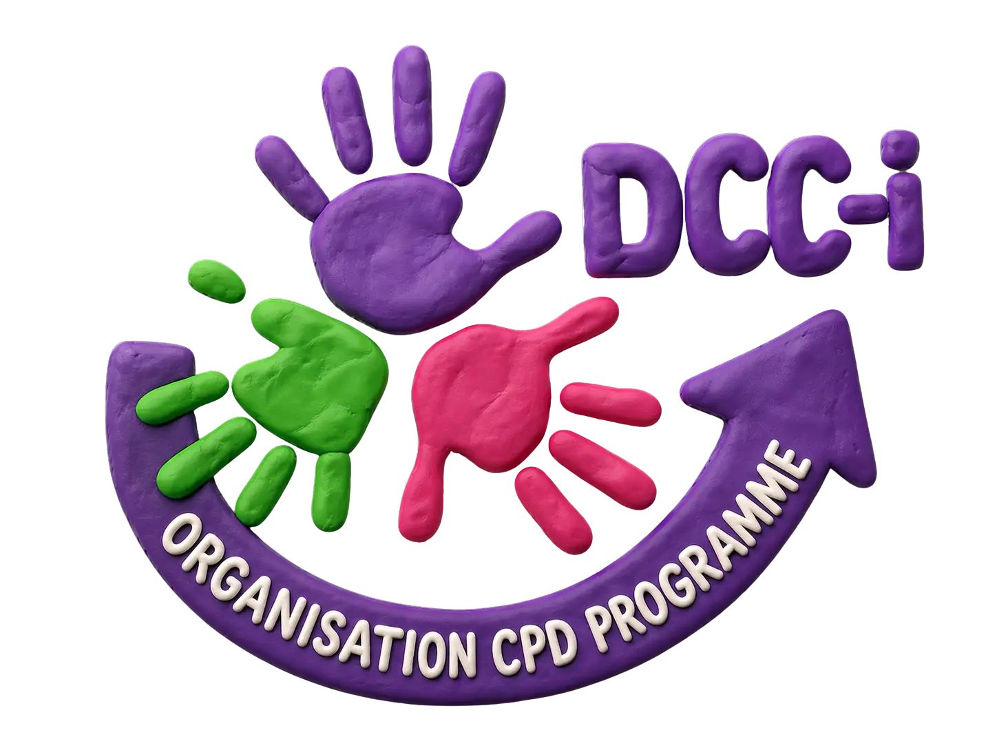 DCC-i Organisation CPD Programme